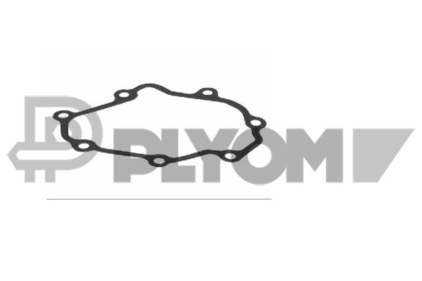 Repair Set, vacuum pump (braking system) (P775106)