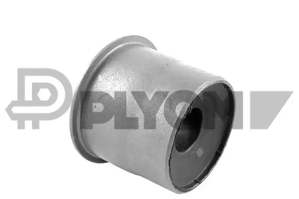 Bushing, axle beam (P759601)
