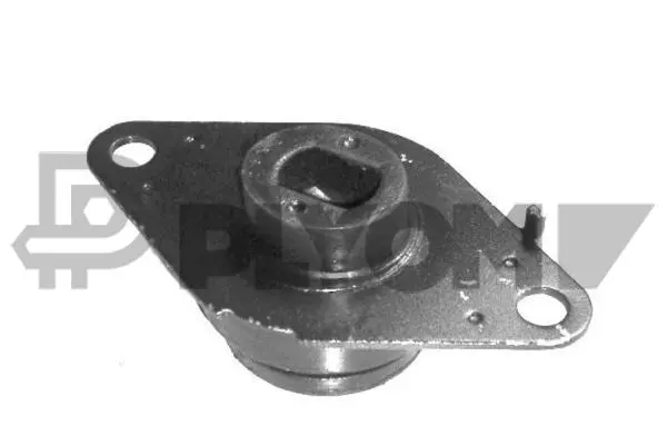 Mounting, engine (P020164)