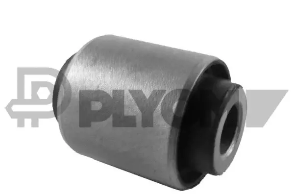 Bushing, axle beam (P755623)
