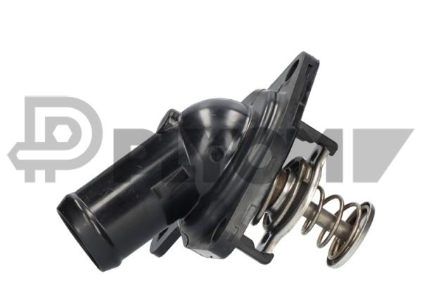 Thermostat, coolant (P750821)
