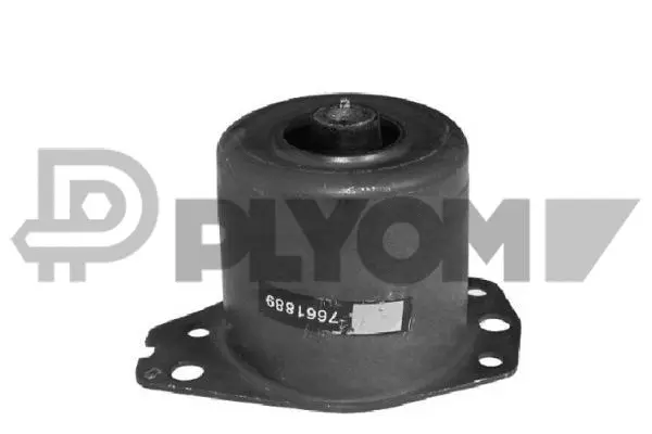 Mounting, engine (P756098)
