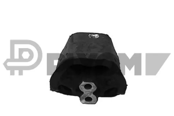 Mounting, engine (P480084)