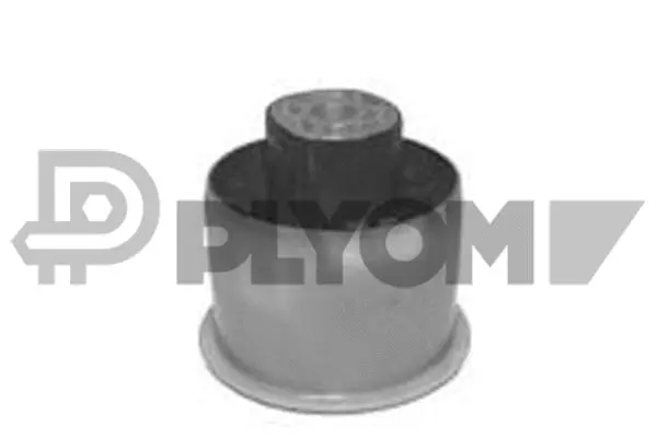 Bushing, axle beam (P755682)