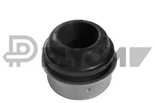 Bushing, axle beam (P482511)