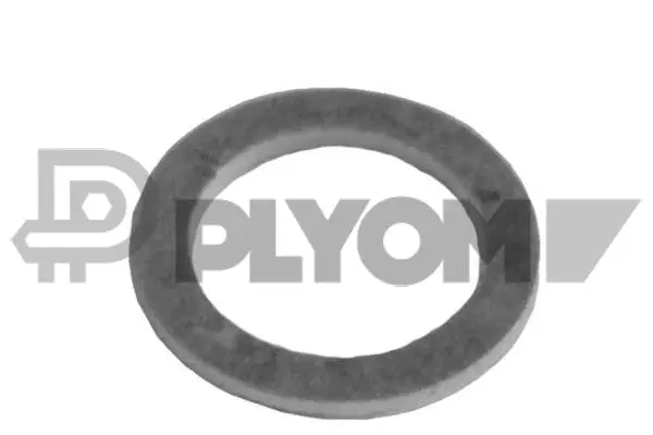 Seal Ring, oil drain plug (P954165)