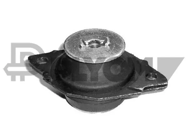 Mounting, engine (P010874)