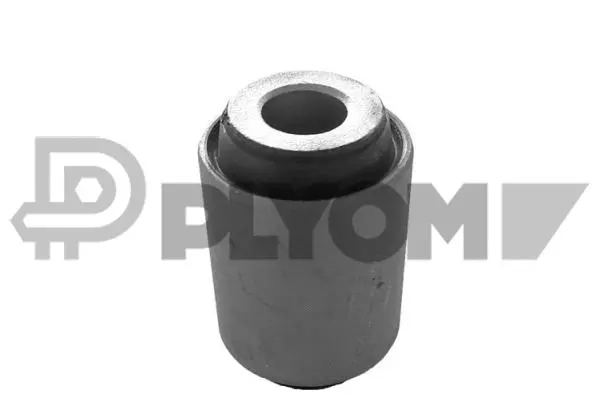Bushing, axle beam (P759529)