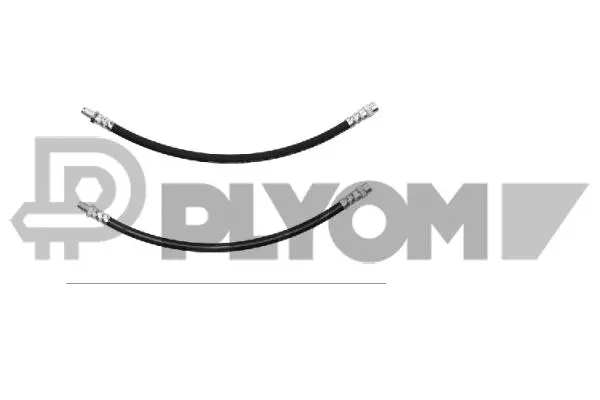 Brake Hose (P020542)