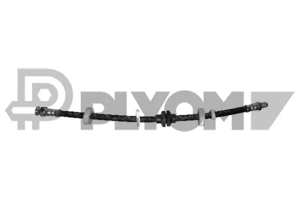 Brake Hose (P010045)
