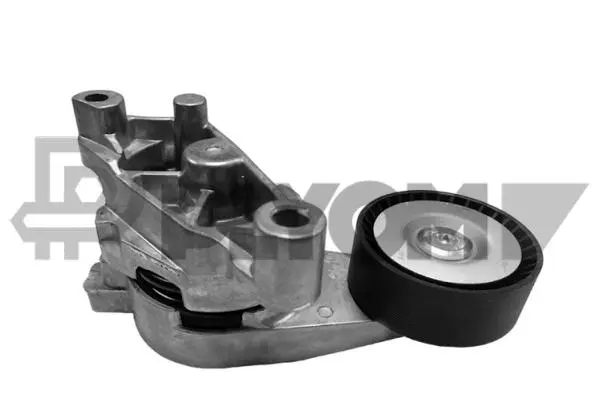 Repair Kit, v-ribbed belt tensioner (P770881)