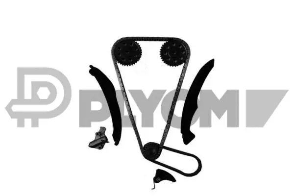 Timing Chain Kit (P752072)