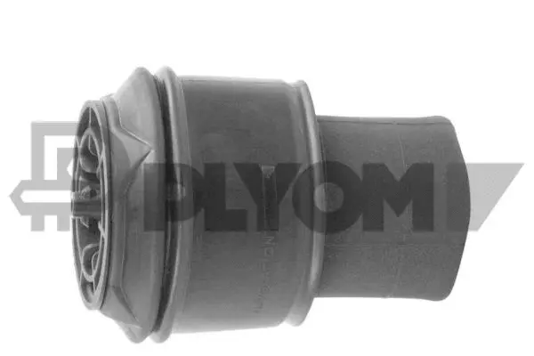 Air Spring, suspension (P753454)