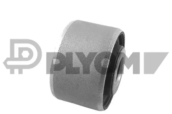 Bushing, axle beam (P759615)