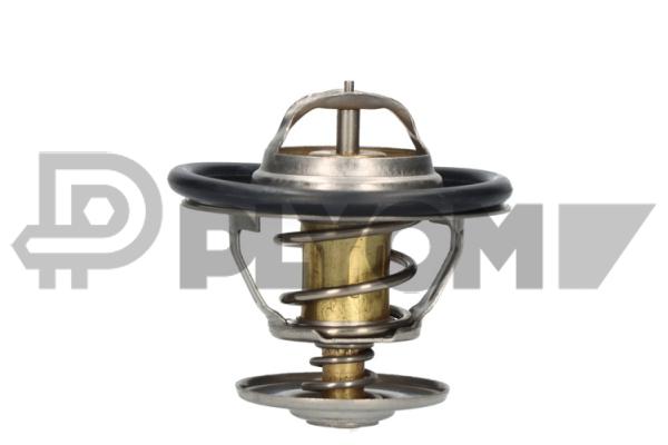 Thermostat, coolant (P770197)