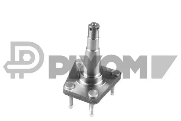Wheel Hub (P760294)