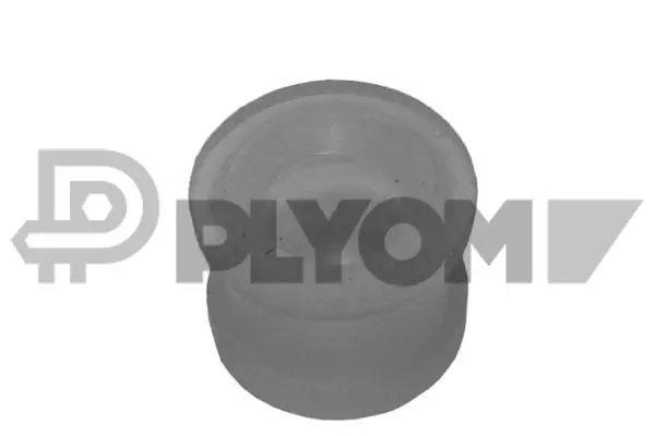 Bushing, selector/shift rod (P751056)