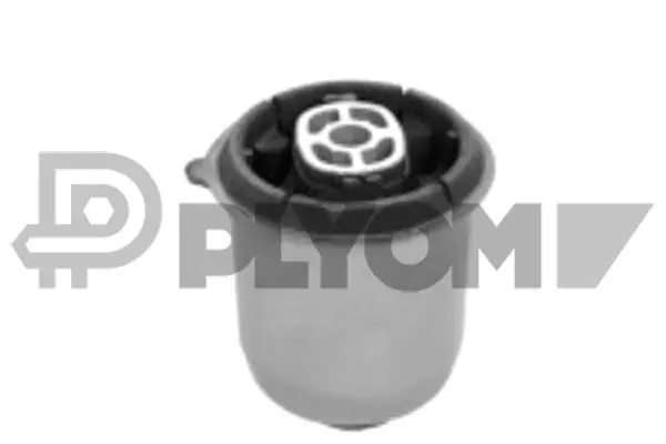 Bushing, axle beam (P750690)