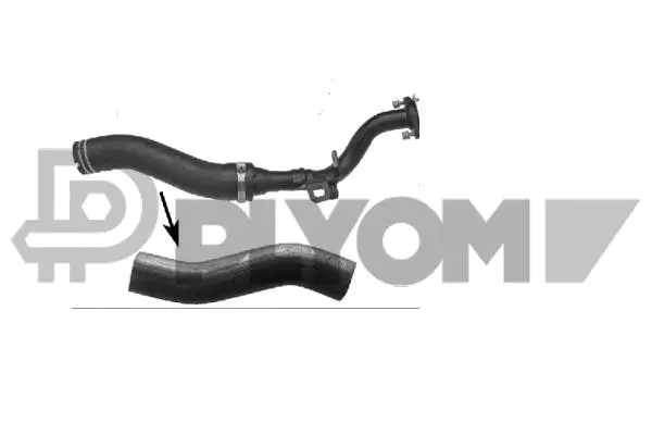 Radiator Hose (P774702)