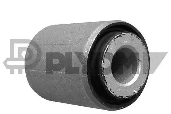Bushing, axle beam (P759456)