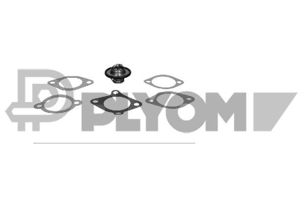 Thermostat, coolant (P775409)
