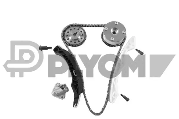 Timing Chain Kit (P772243)