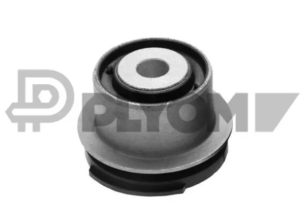 Bushing, axle beam (P759509)