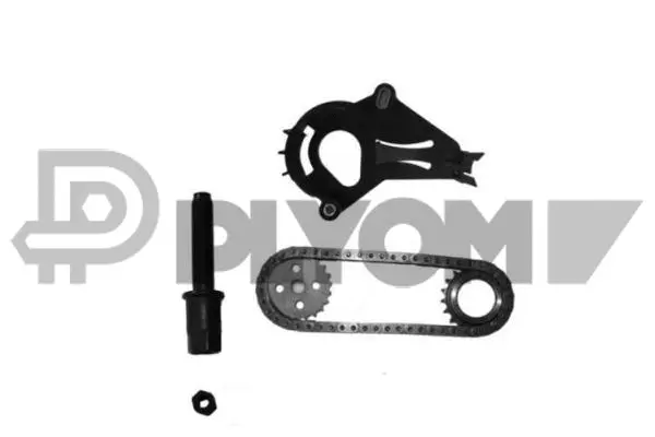 Timing Chain Kit (P752100)