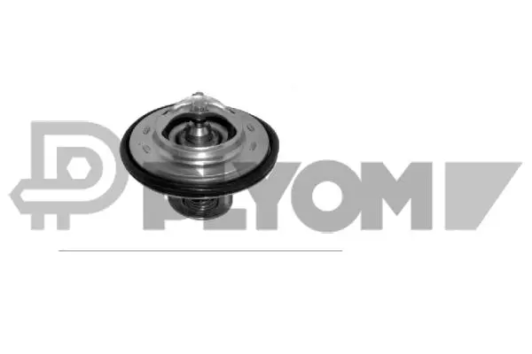 Thermostat, coolant (P772446)