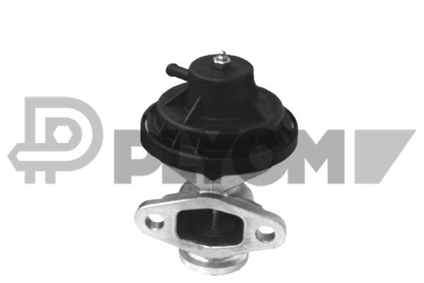 EGR Valve (P770110)