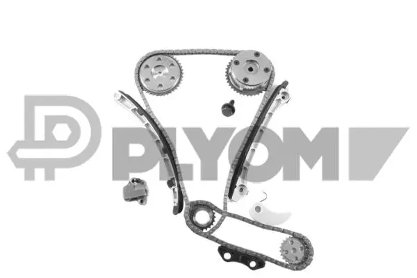 Timing Chain Kit (P772244)