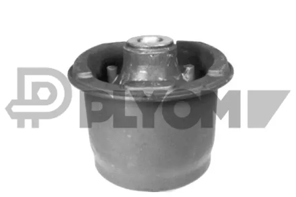 Bushing, axle beam (P750702)