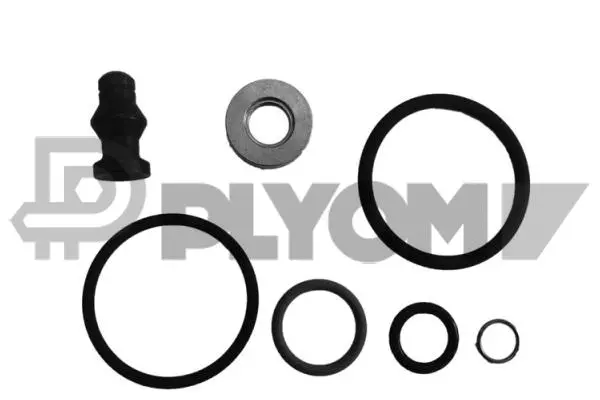 Seal Kit, injector nozzle (P752356)