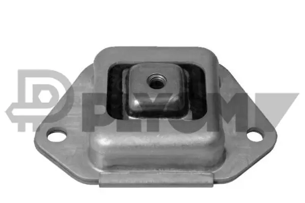 Bushing, axle beam (P756557)