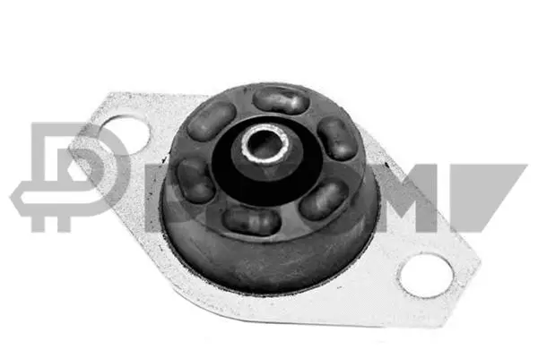 Mounting, engine (P755984)