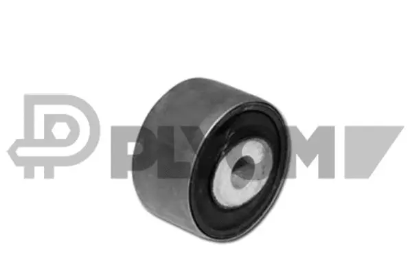 Bushing, axle beam (P180974)