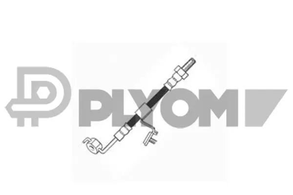 Brake Hose (P080017)