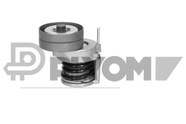 Tensioner Lever, V-ribbed belt (P751718)