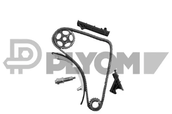 Timing Chain Kit (P752049)