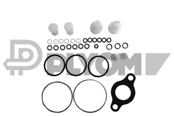 Repair Kit, unit injector (P752353)