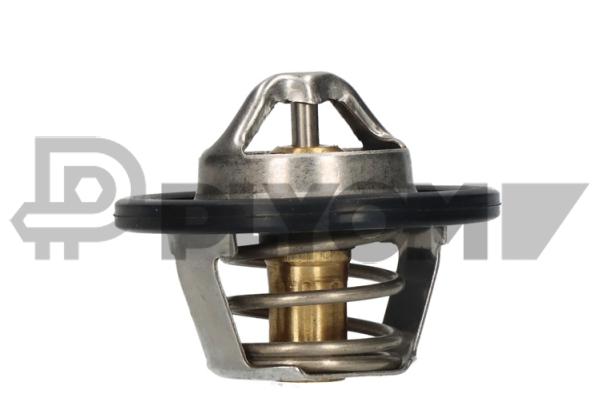 Thermostat, coolant (P756871)