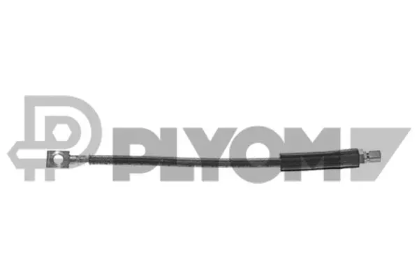 Brake Hose (P480001)