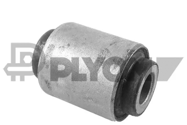 Bushing, axle beam (P759418)