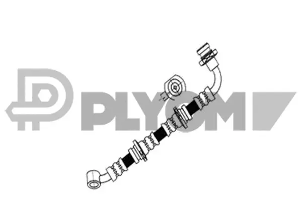 Brake Hose (P160004)
