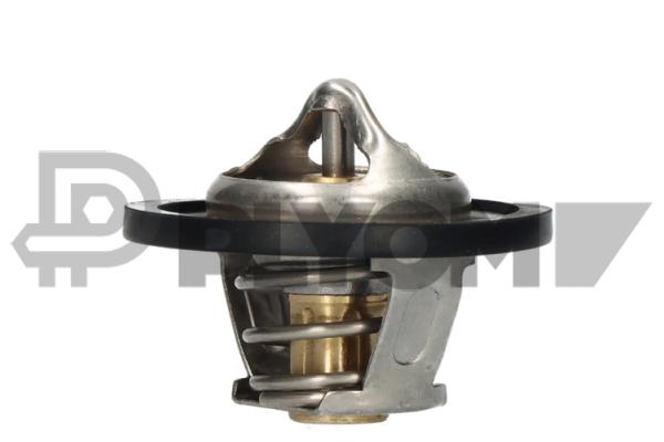 Thermostat, coolant (P756881)