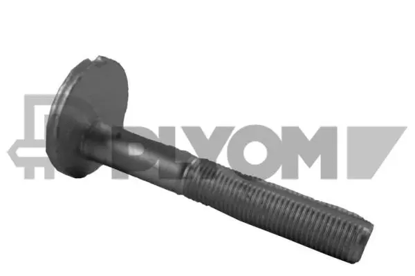 Camber Correction Screw (P758463)