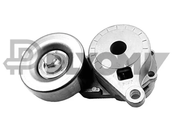 Tensioner Lever, V-ribbed belt (P751877)