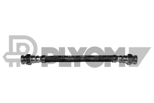Brake Hose (P010305)