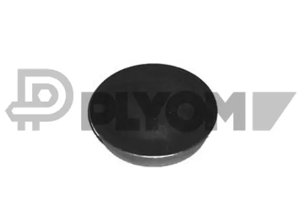 Protection Lid, wheel hub (P951023)