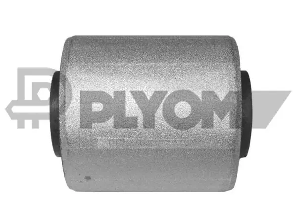 Mounting, control/trailing arm (P460136)